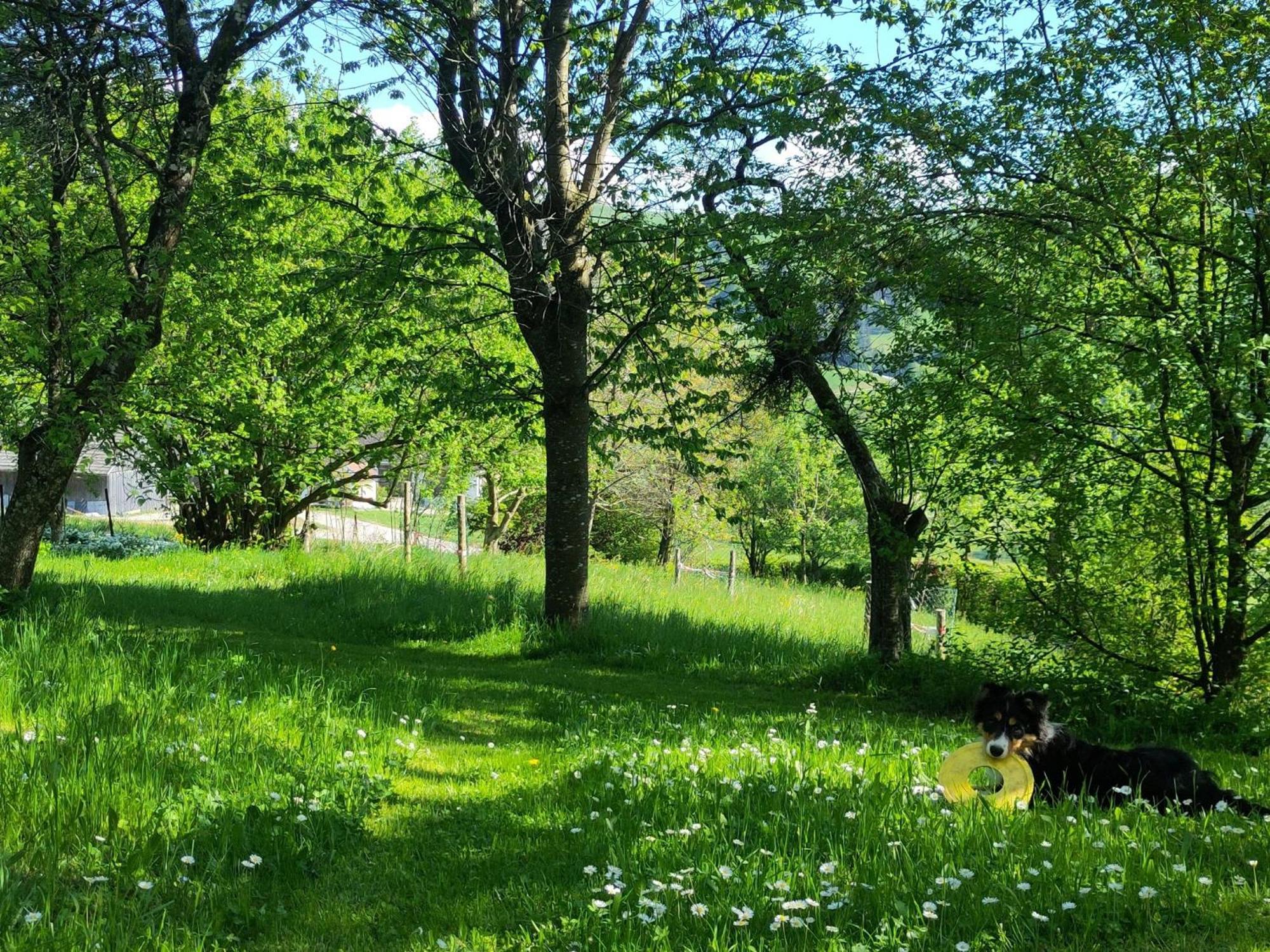 Prázdninový dům Naturparadies Am