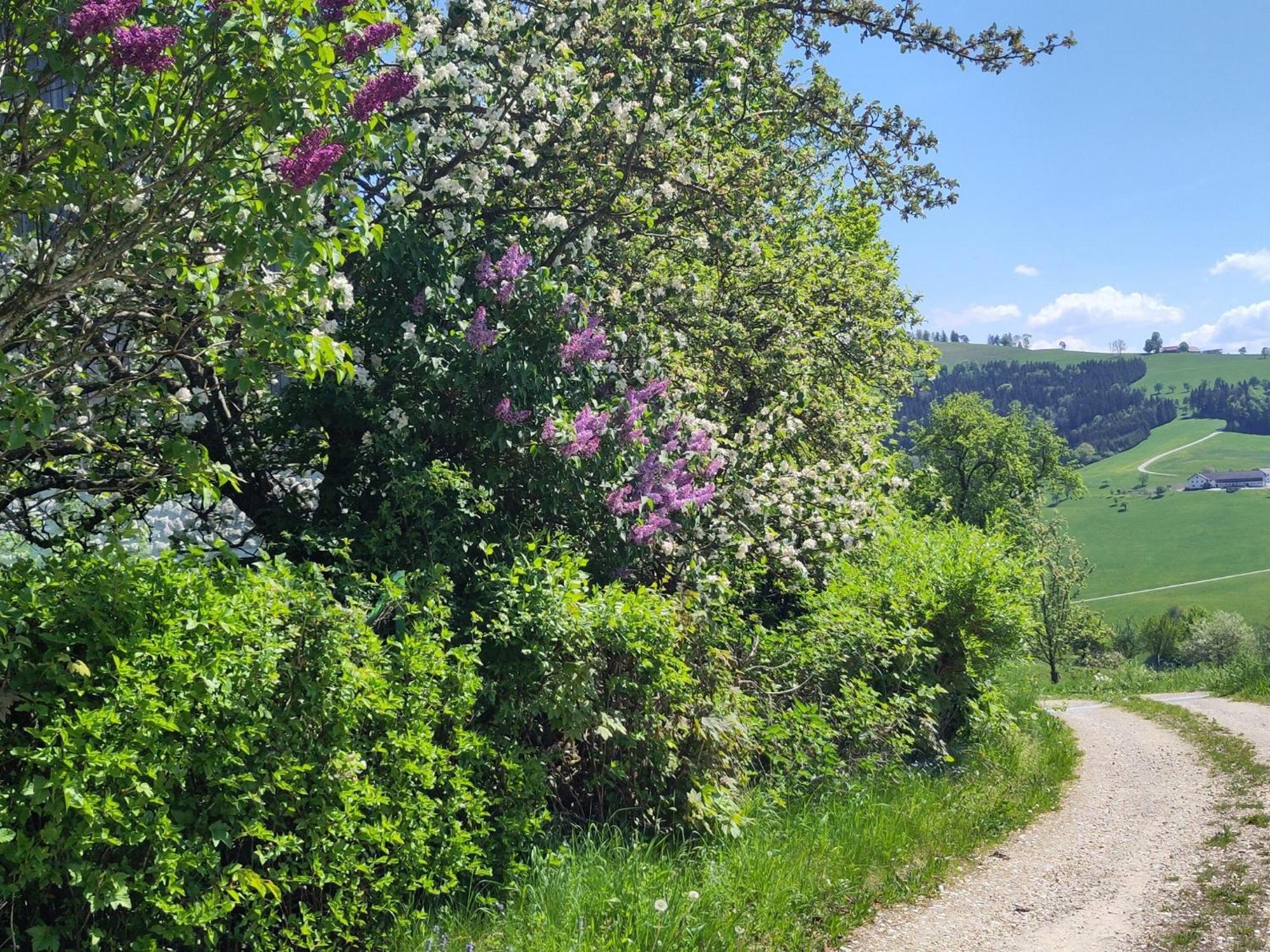 Naturparadies Am Sonntagberg